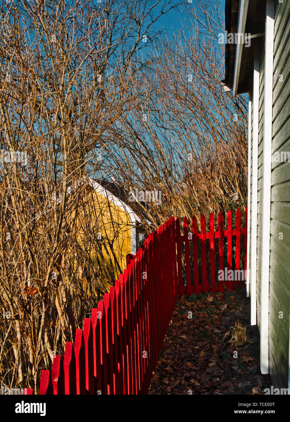 Falun tradizionale recinto rosso al fianco di riparto-Garden cottage, Tantolunden riparto giardini, Sodermalm, Stoccolma, Svezia e Scandinavia Foto Stock