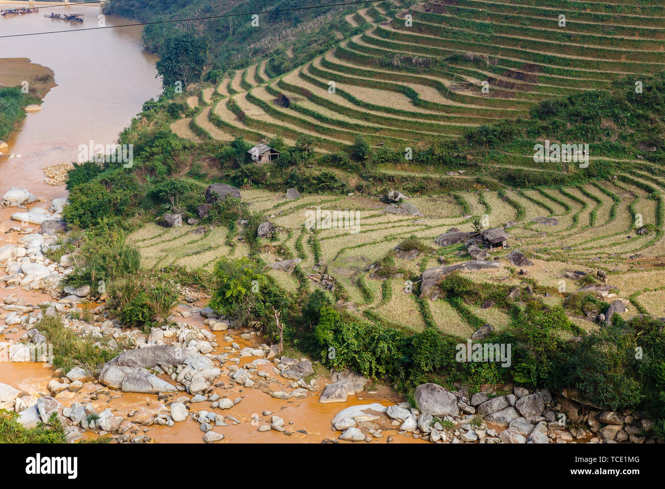 Fiume e campi di riso terrazzati, un paesaggio vicino a Sapa in Vietnam Foto Stock