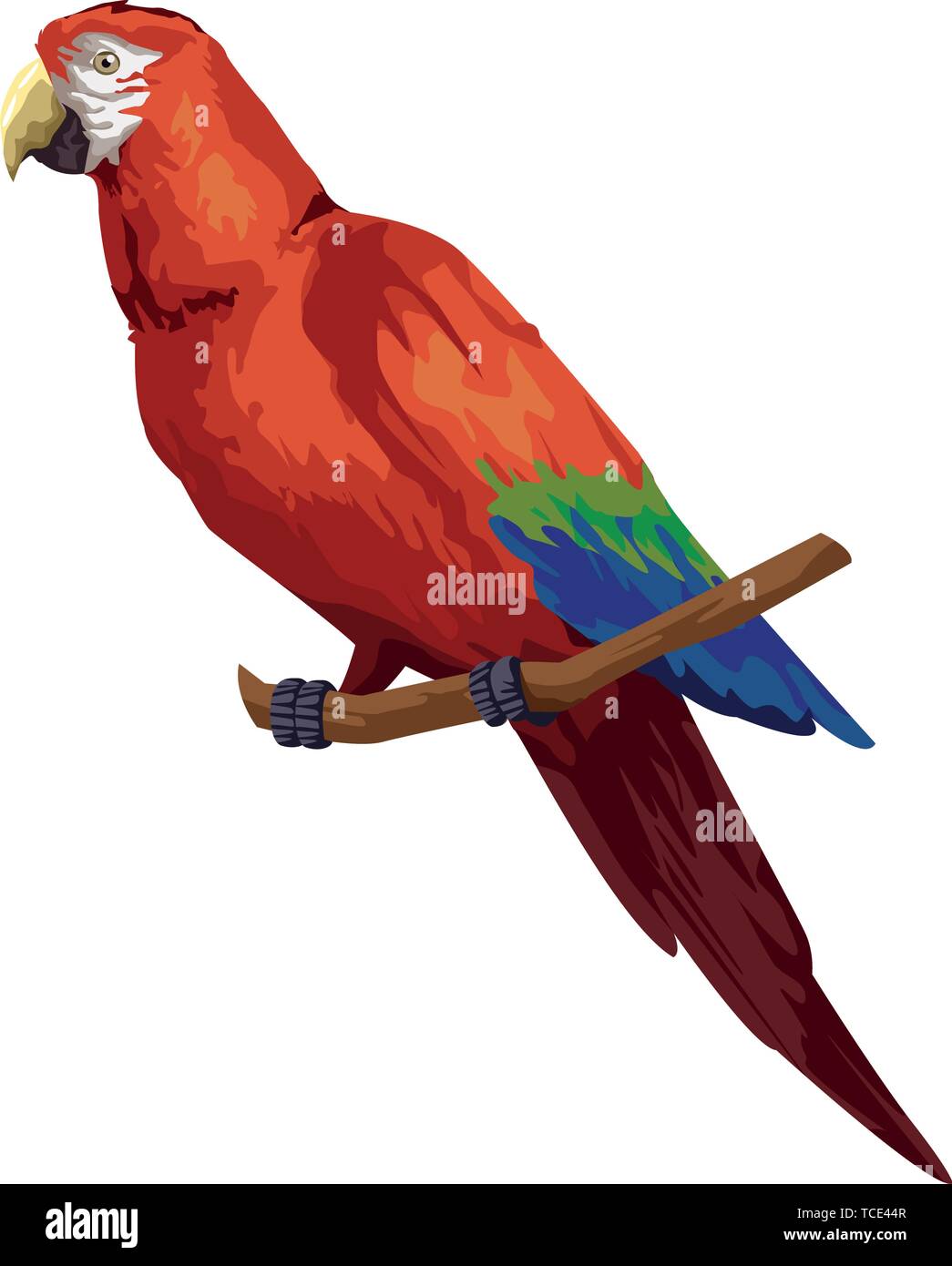 Guacamaya exotic south american bird Illustrazione Vettoriale