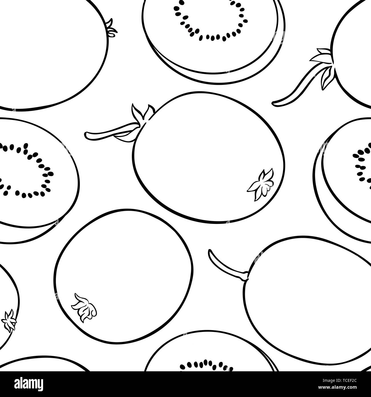 Vettore di kiwi pattern su sfondo bianco Illustrazione Vettoriale