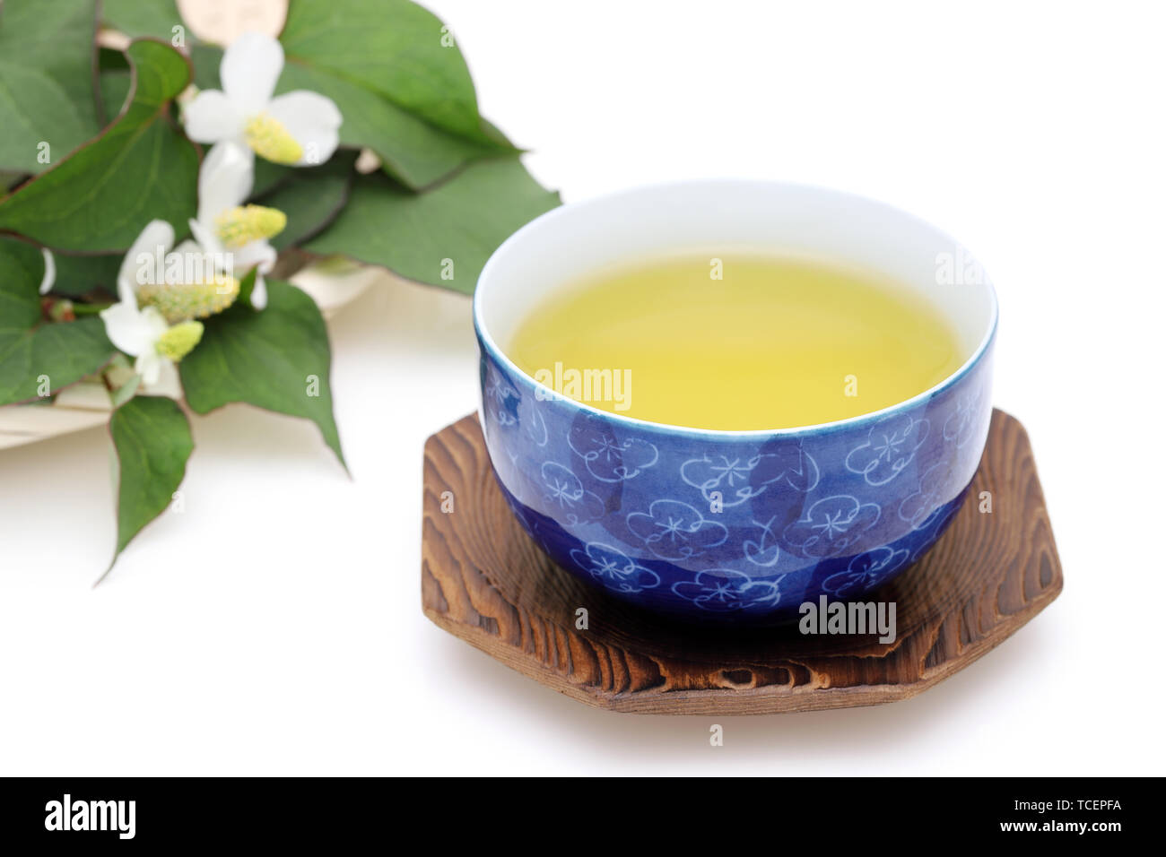 Houttuynia cordata tè, dokudami sano bere, su sfondo bianco Foto Stock