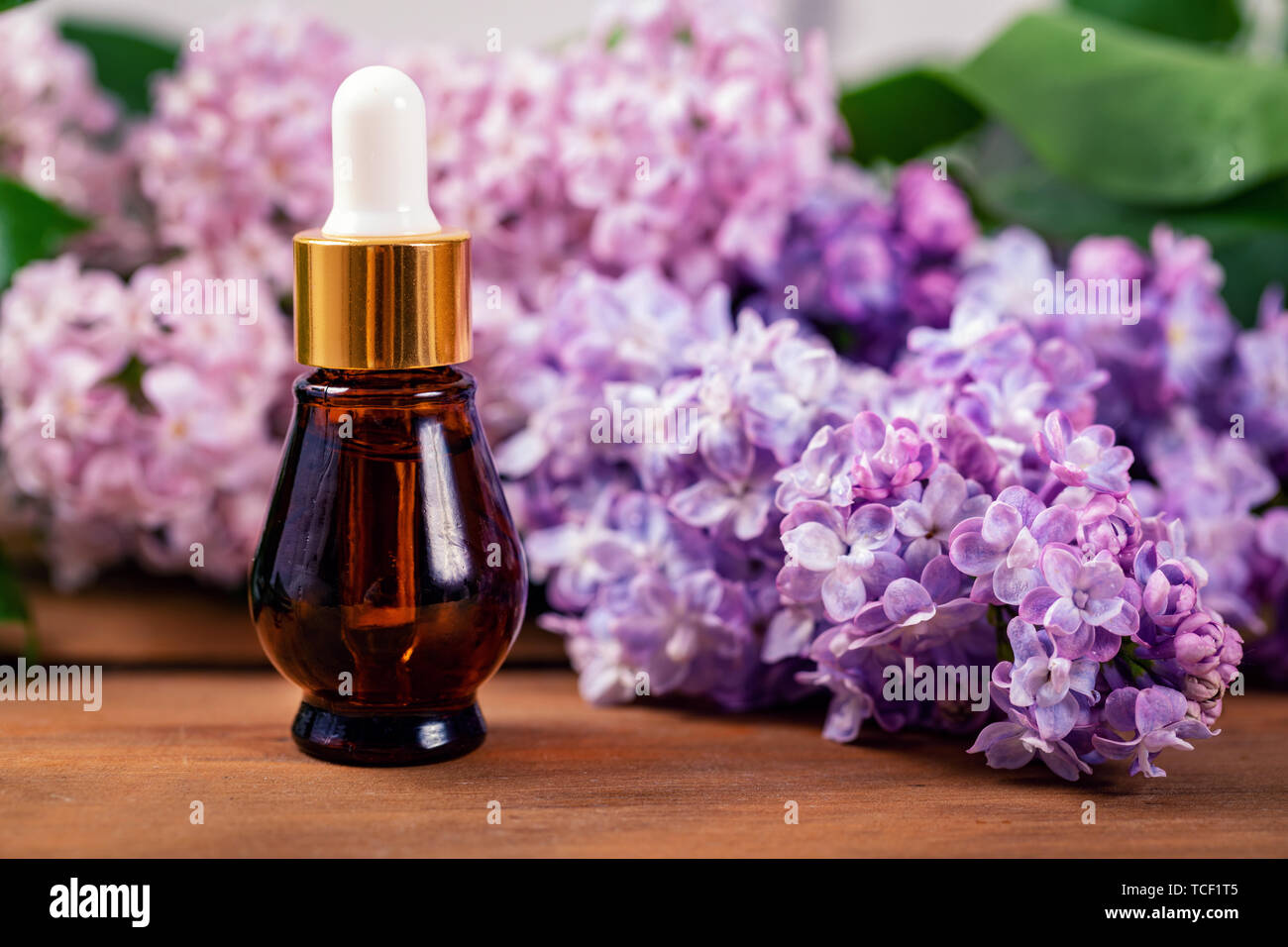Lilla olio essenziale bottiglia con fiore ramo di lilla Foto Stock