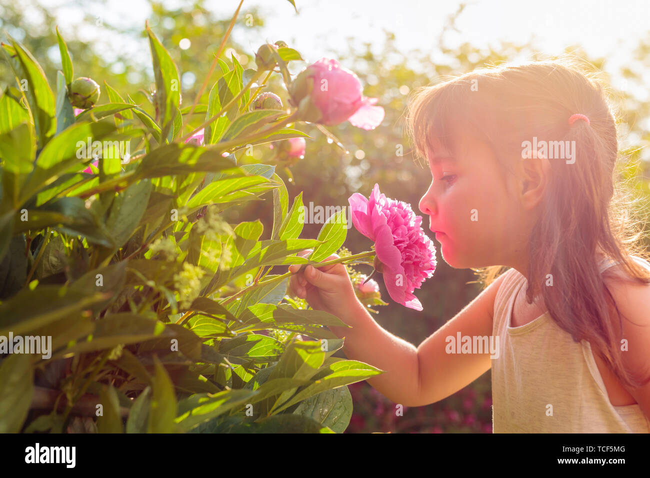 Giorno d'estate e di sole nel giardino dopo la pioggia. Felice bambina odore di fragrante peonie rosa. Foto Stock