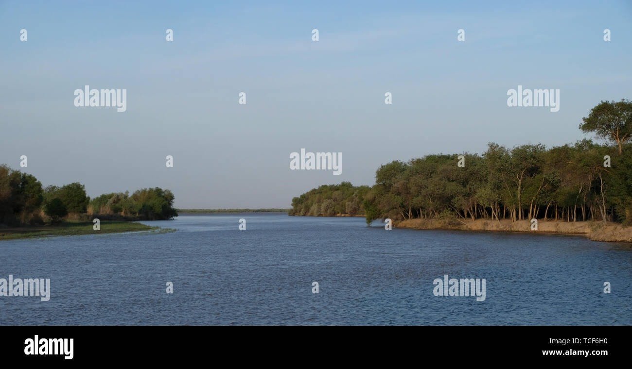 La riserva naturale di Badai Tugai, situata sulle rive del fiume Il fiume Amu Darya si trova nel distretto di Beruniy in La Repubblica autonoma di Karakalpakstan all'interno dell'Uzbekistan Foto Stock