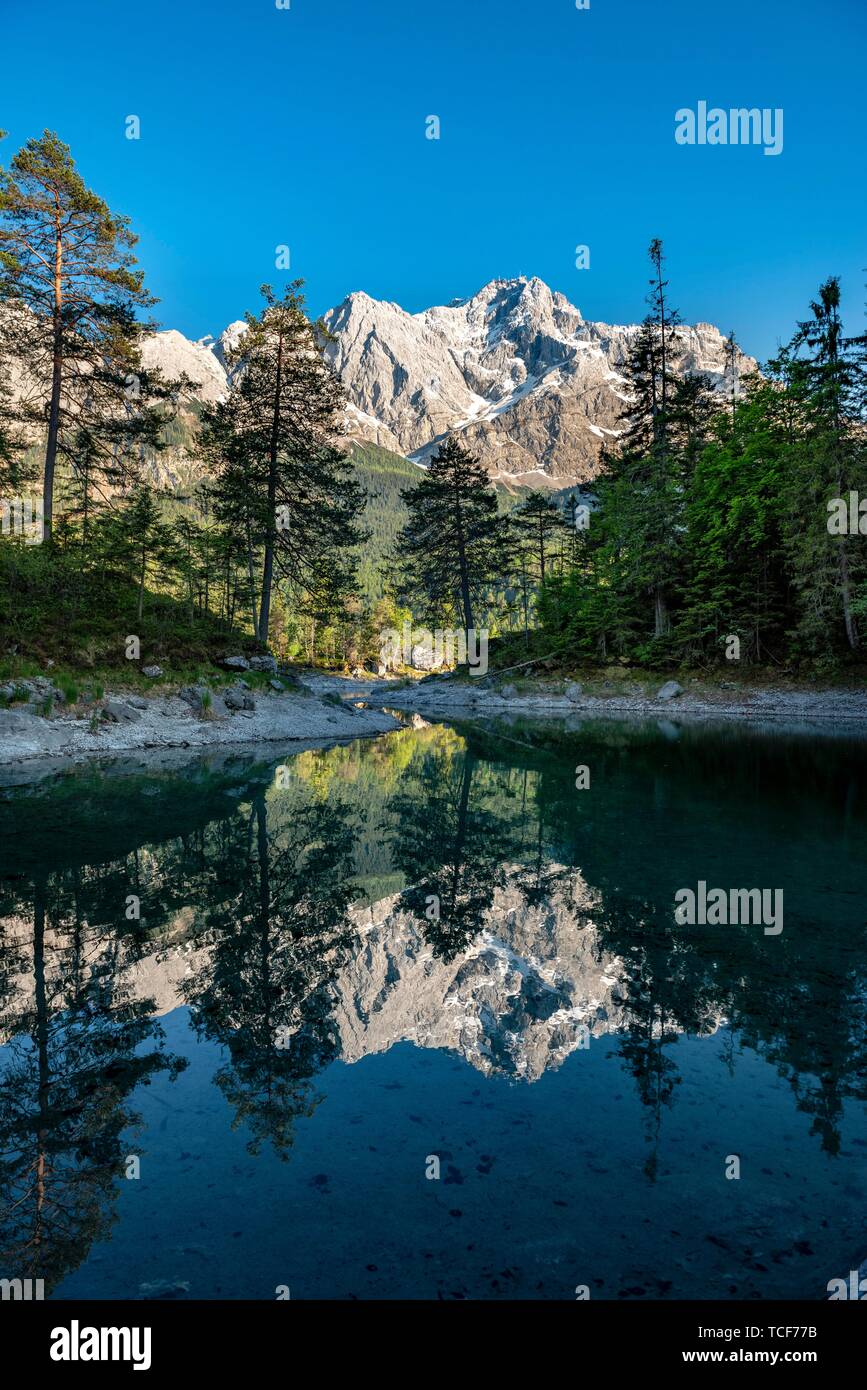 Lago Eibsee e Zugspitze, acqua di riflessione, gamma di Wetterstein, Grainau, Alta Baviera, Baviera, Germania, Europa Foto Stock