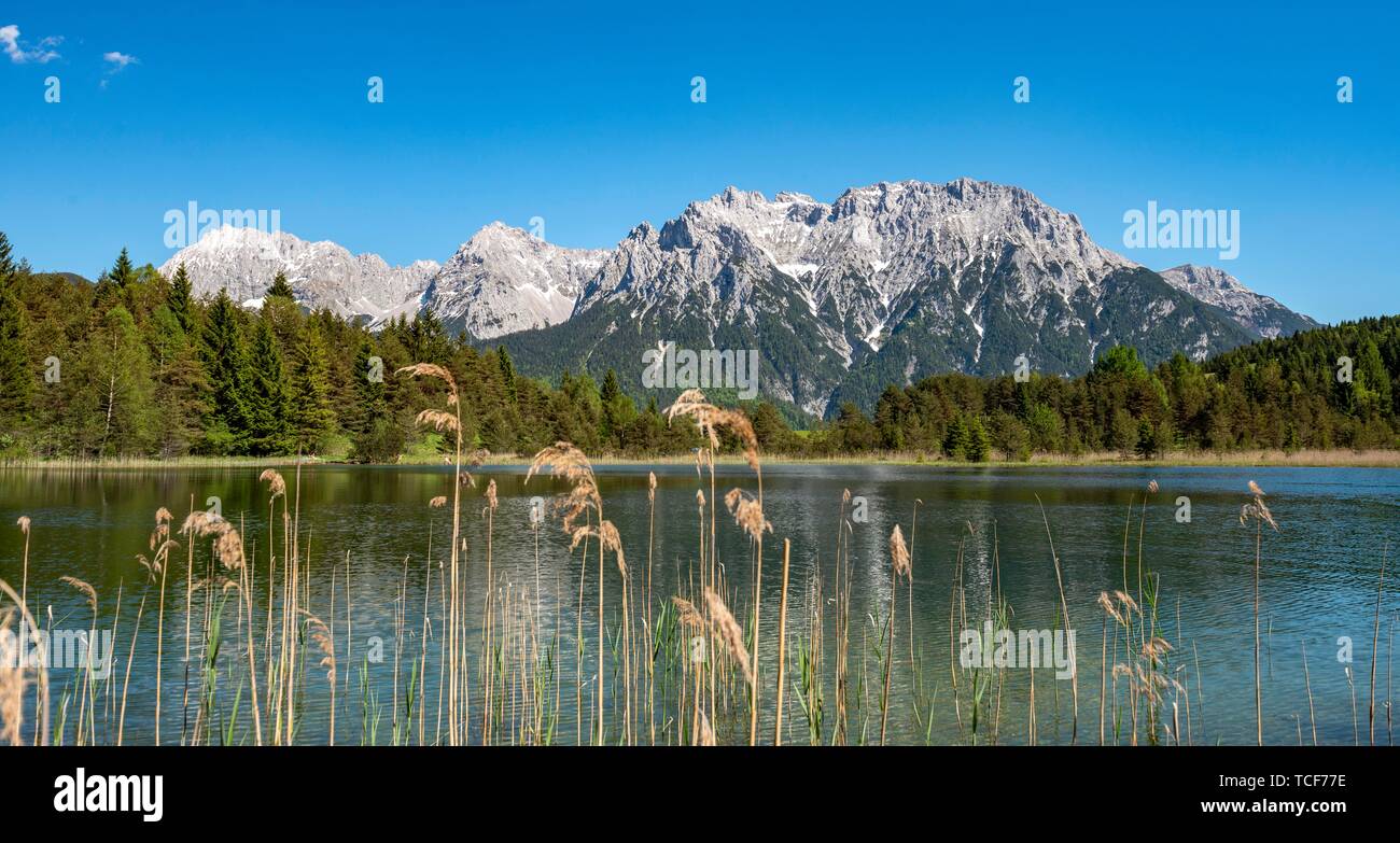 Western Karwendelspitze, Lago Luttensee con reed, montagne Karwendel, Mittenwald, Alta Baviera, Baviera, Germania, Europa Foto Stock