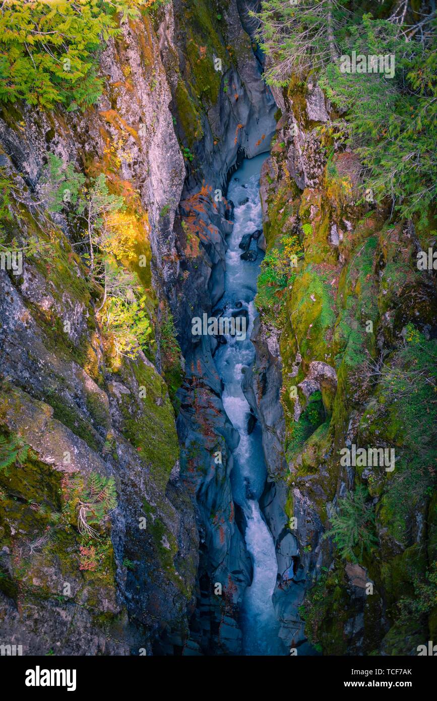 Stevens Canyon, selvaggio fiume scorre attraverso una gola profonda, il Parco Nazionale del Monte Rainier, Washington, USA, America del Nord Foto Stock