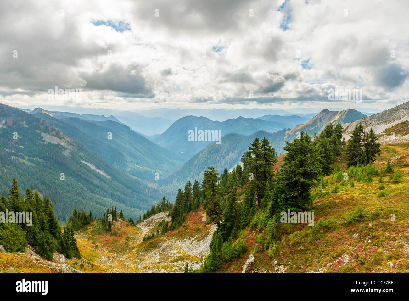 Paesaggio di montagna in autunno, il Parco Nazionale del Monte Rainier, Washington, USA, America del Nord Foto Stock