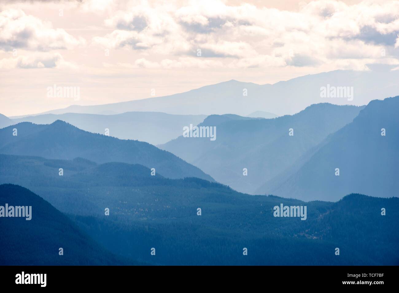 Paesaggio di montagna, mountain sagome, il Parco Nazionale del Monte Rainier, Washington, USA, America del Nord Foto Stock