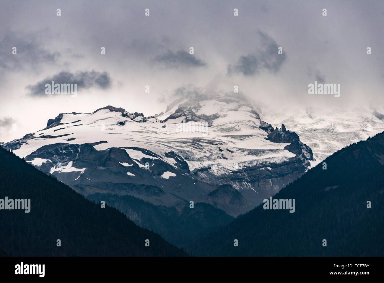 Il Monte Rainier, close-up, il vertice con il ghiaccio e la neve, il Parco Nazionale del Monte Rainier, Washington, USA, America del Nord Foto Stock