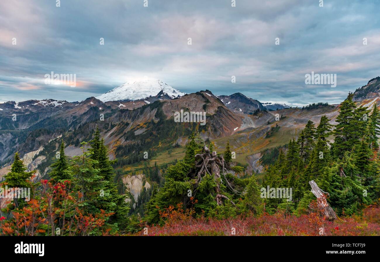 Paesaggio di montagna in autunno, in vista di Mt. Baker con neve e ghiacciai, Mt. Baker-Snoqualmie Foresta Nazionale, Washington, USA, America del Nord Foto Stock