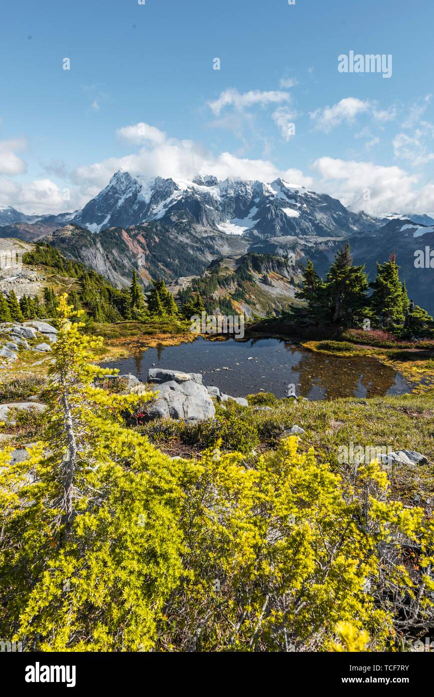 Piccolo lago di montagna alla montagna del piano portapaziente, vista di Mt. Shuksan con neve e ghiacciai, Mt. Baker-Snoqualmie Foresta Nazionale, Washington, Stati Uniti d'America, Nord Amer Foto Stock