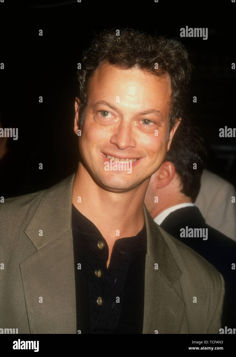 Hollywood, California, Stati Uniti d'America 7 giugno 1994 attore Gary Sinise assiste XX Century Fox 'velocità' Premiere il 7 giugno 1994 presso il Teatro Cinese di Mann in Hollywood, California, Stati Uniti d'America. Foto di Barry re/Alamy Stock Photo Foto Stock