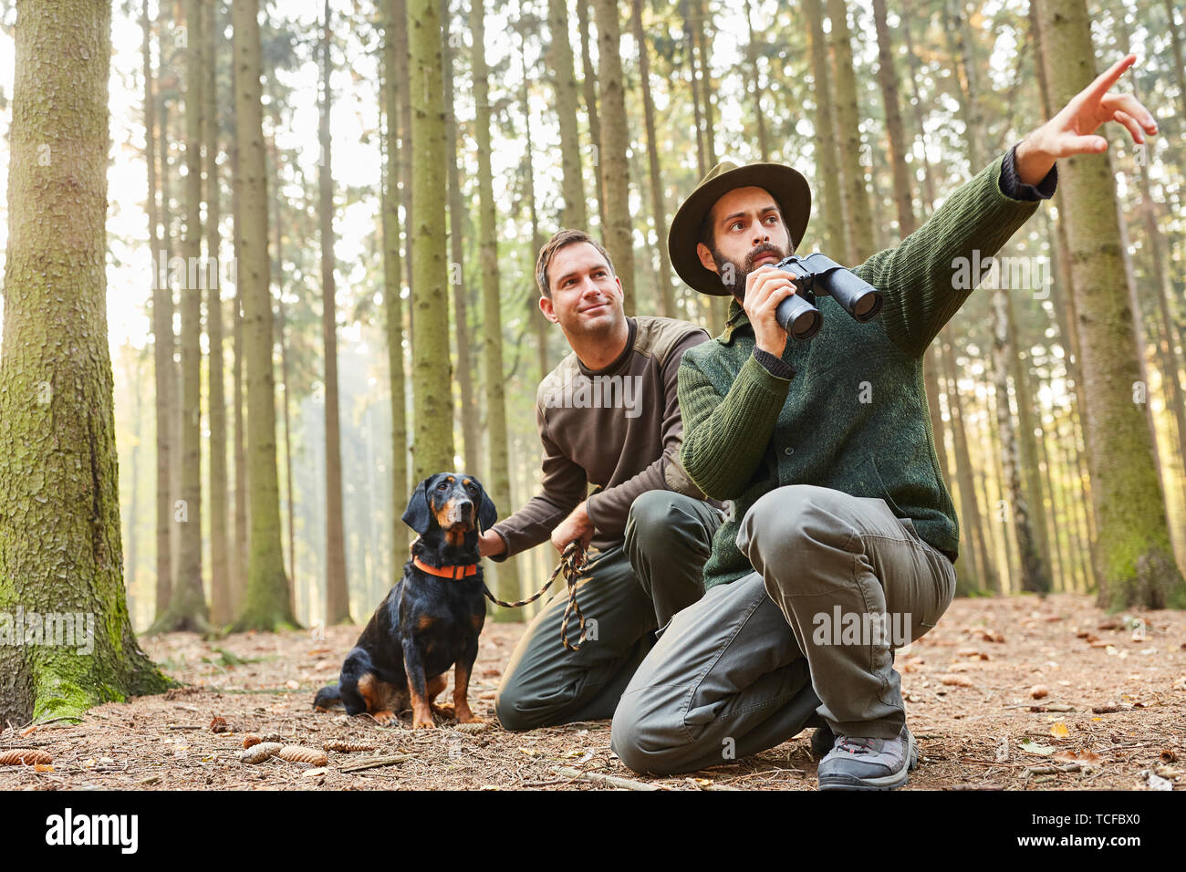 Due cacciatori con il binocolo e con hound come hound sulla levetta nella foresta Foto Stock