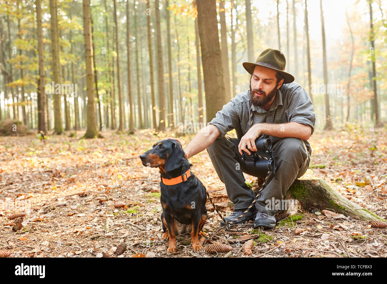 Forester si siede con il binocolo e Brandbracke come un cane da caccia nella foresta Foto Stock