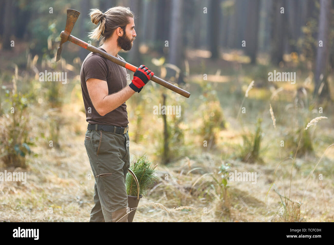 Foresta di giovane agricoltore in un vivaio nella foresta mentre il rimboschimento per la sostenibilità Foto Stock
