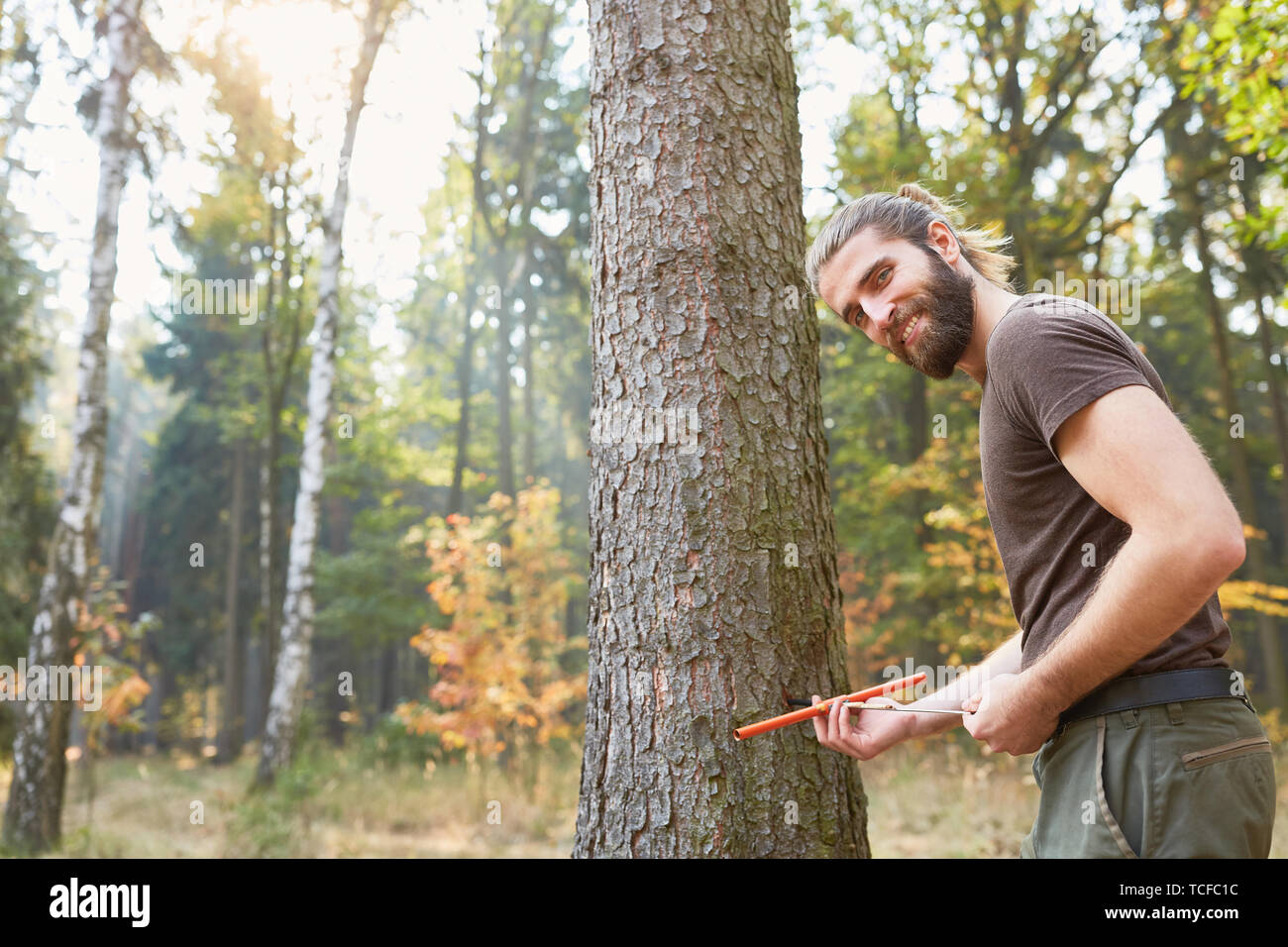 Forester con crescita praticare test salute ad albero e misura la crescita di legno Foto Stock
