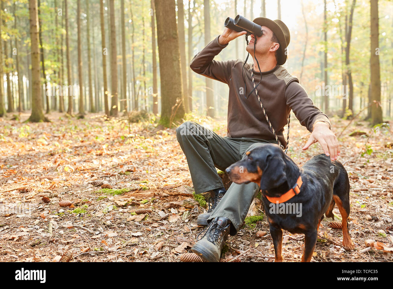 Forester con la lepre come un cane da caccia osserva la natura con il binocolo Foto Stock