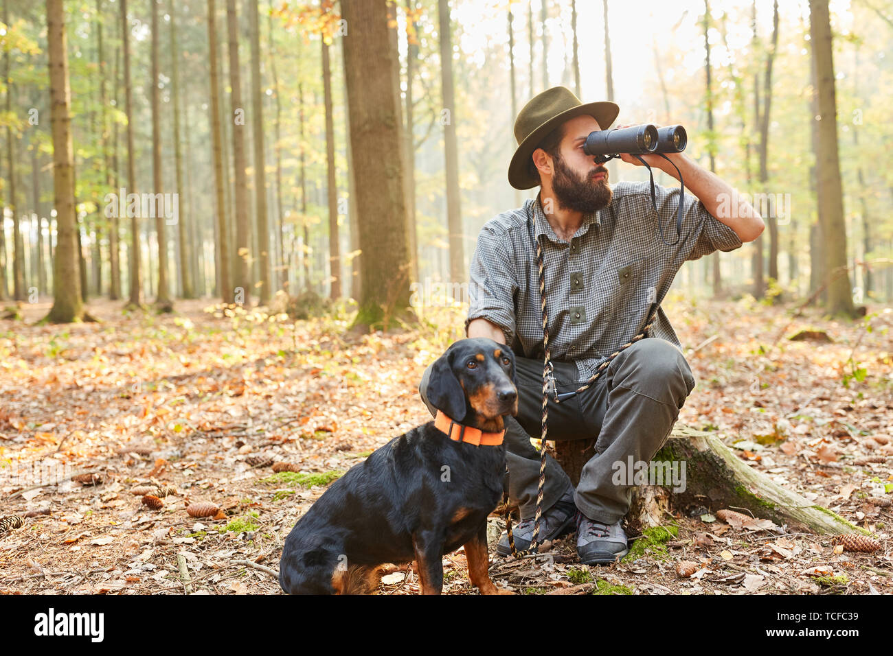Hunter o district ranger con cane da caccia guarda attraverso il binocolo nella foresta Foto Stock