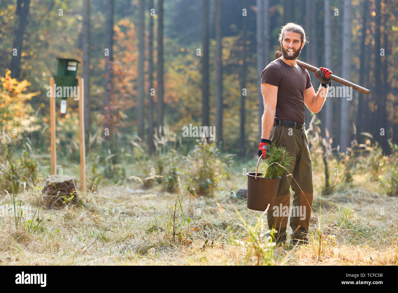 Giovane foresta ranger impianto presso la struttura ad albero come la silvicoltura sostenibile Foto Stock