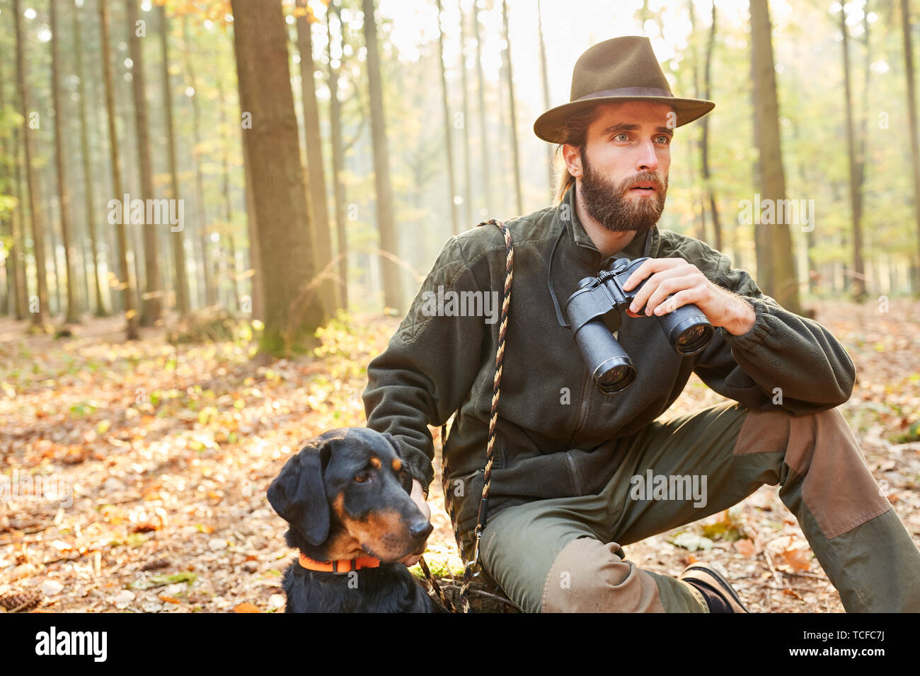 Hunter o forester con hawk come hound caccia la caccia nel bosco Foto Stock