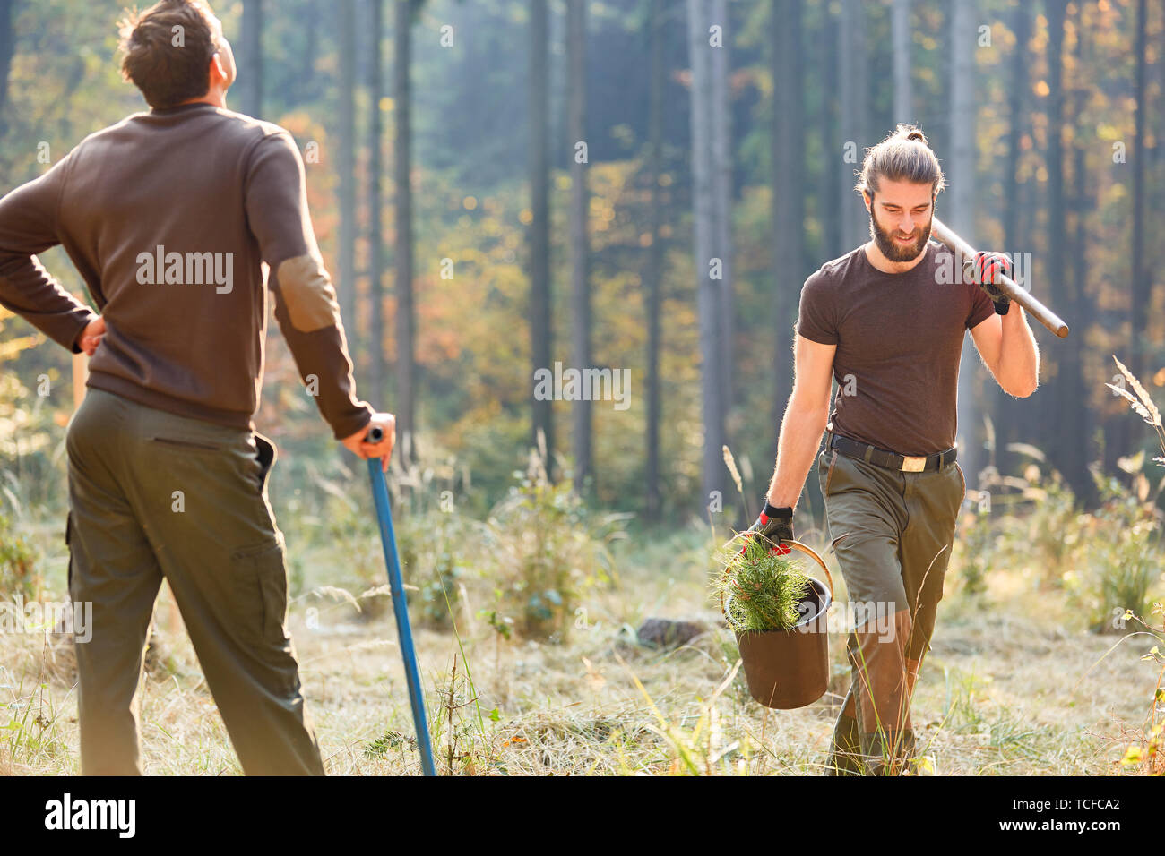 Giovani forestali o di lavoratore di foresta è piantare alberi per il rimboschimento sostenibile Foto Stock