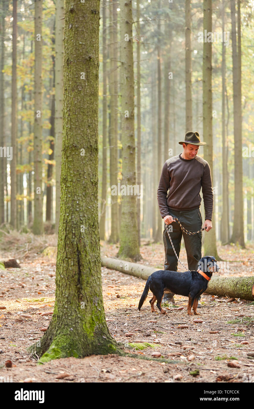 Forester passa per una passeggiata con un cane come un cane da caccia o un cane di sudore nella foresta Foto Stock