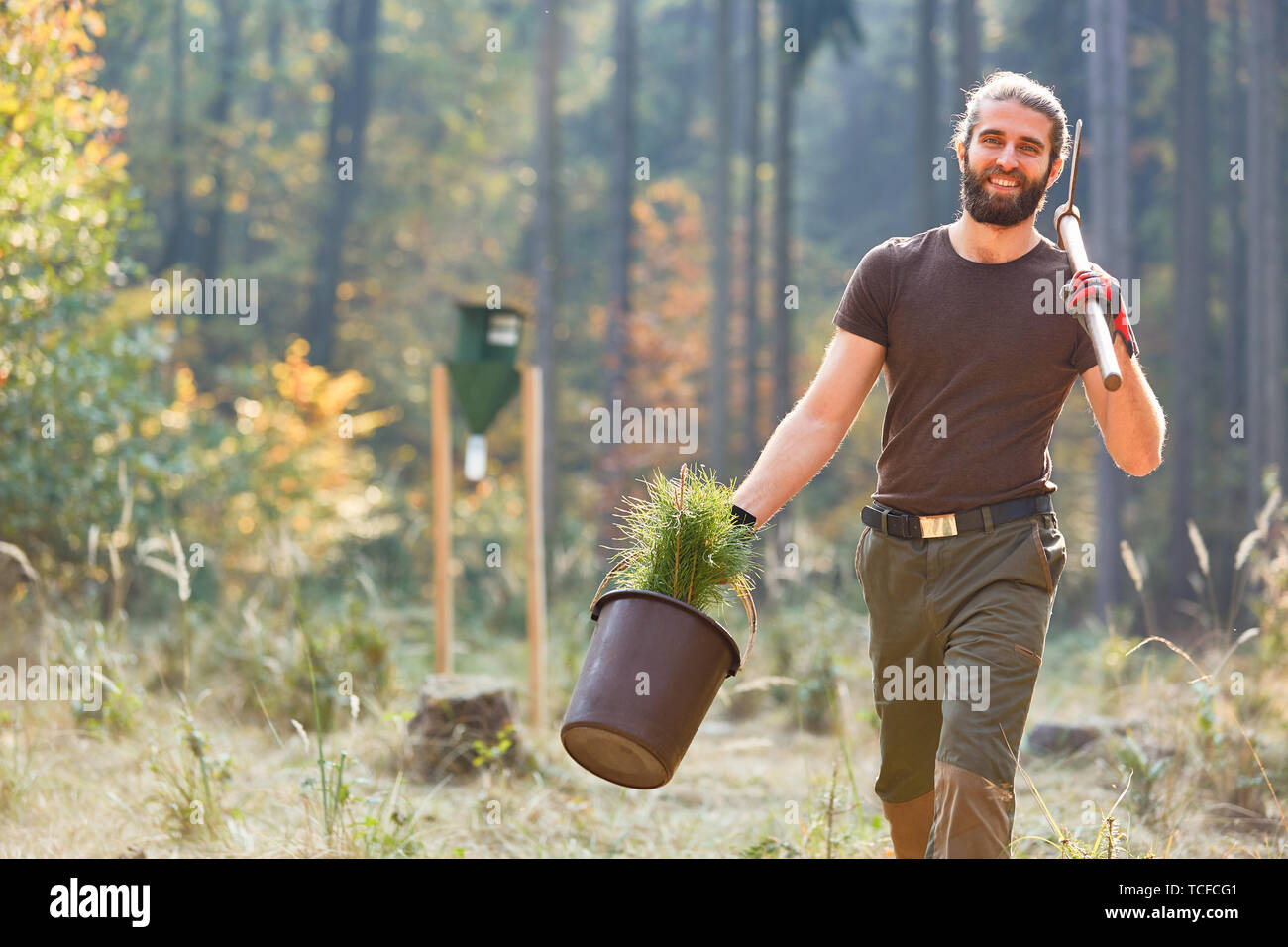Giovane uomo come un guardaboschi partecipante nel FÖJ con le piantine di pino di rimboschimento Foto Stock