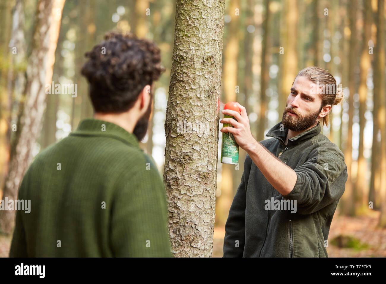 Giovani forester segna un albero con vernice rossa dalla bomboletta spray per il raccolto di legno Foto Stock