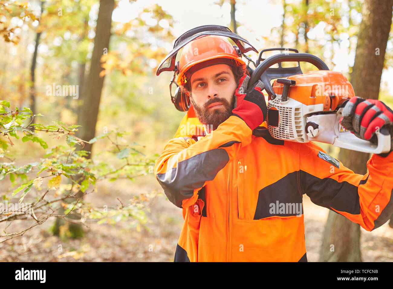 Forest agricoltore in abbigliamento protettivo con chainsaw come un taglialegna nel bosco durante la raccolta Foto Stock