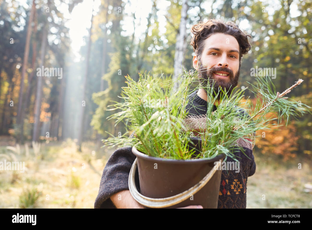 Lavoratore di foresta con un secchio pieno di piantine di pino per il rimboschimento della foresta Foto Stock