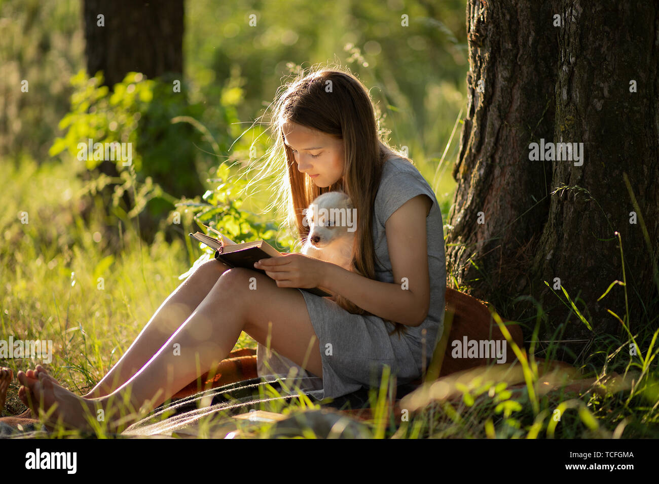 Una ragazza seduta accanto ad un albero e la lettura di un libro, tenendo un labrador cucciolo. Al tramonto nella foresta in estate. Il concetto di amicizia, la felicità, la gioia Foto Stock