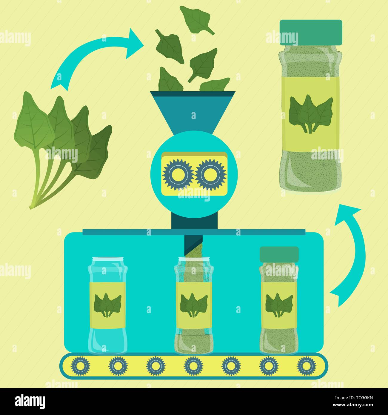 Gli spinaci in polvere serie linea di produzione. La fabbrica di spinaci in polvere. Le foglie fresche di spinaci in lavorazione. Imbottigliato spinaci in polvere. Illustrazione Vettoriale