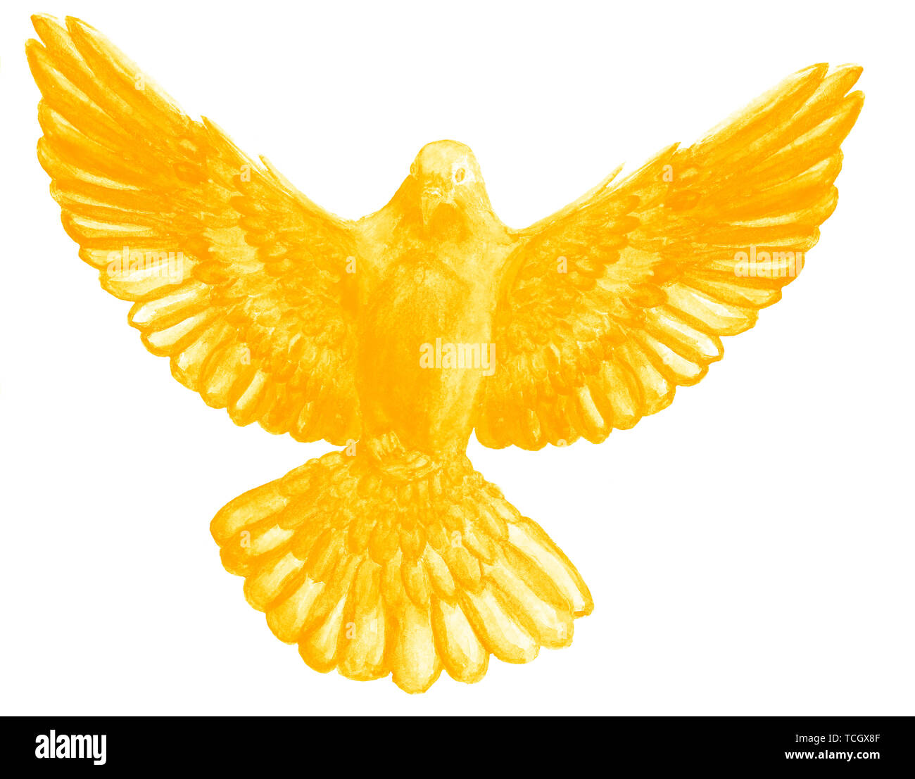 E Acquerello Acquerello digitale illustrazione di unicolor bird, piccione in golden, colore giallo, simbolo dello Spirito Santo, su sfondo bianco. Foto Stock