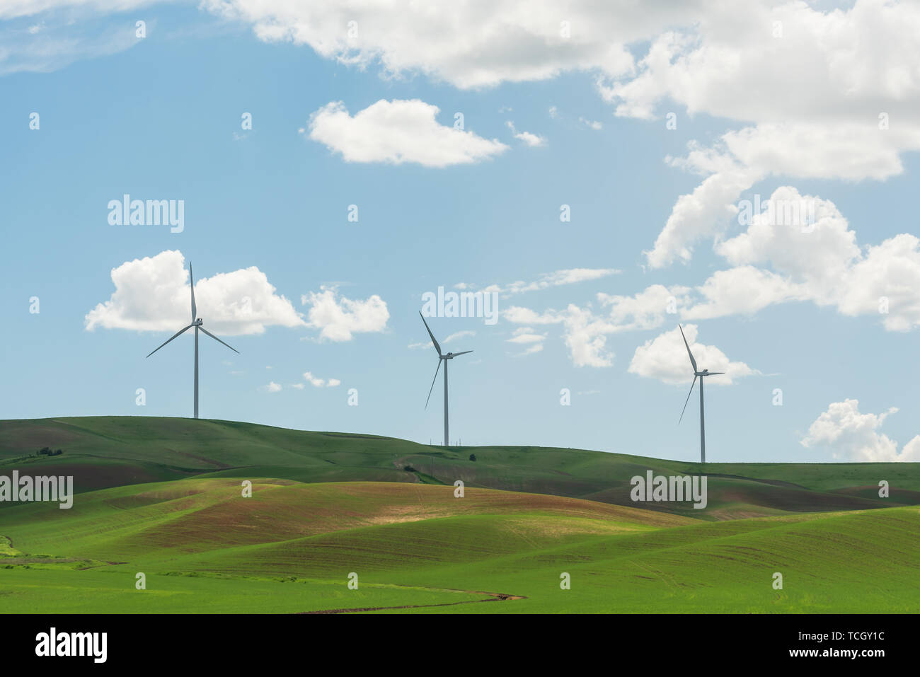 Immagine diurna di turbine eoliche nelle colline della Palouse frumento regione agricola dello Stato di Washington STATI UNITI D'AMERICA Foto Stock