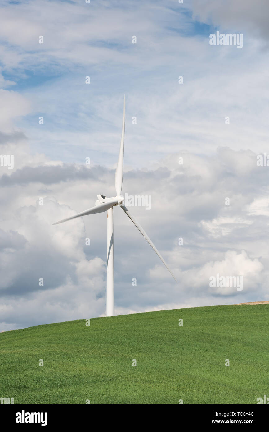 Immagine diurna di turbine eoliche nelle colline della Palouse frumento regione agricola dello Stato di Washington STATI UNITI D'AMERICA Foto Stock