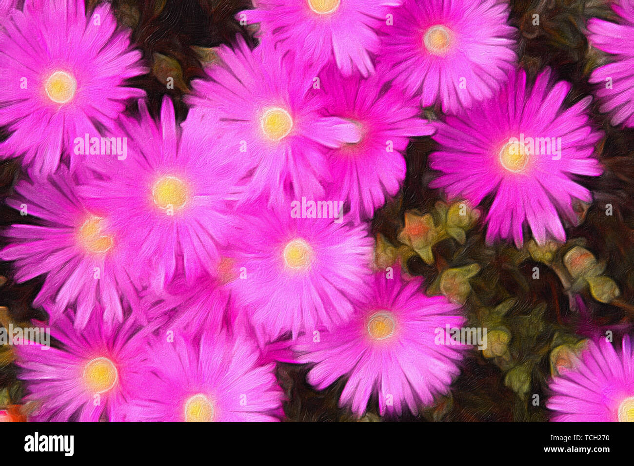 Un grande gruppo di fiori di colore rosa con centri giallo digitale pittura olio Foto Stock