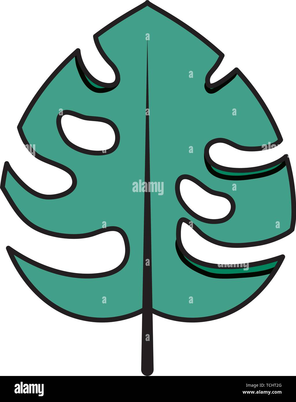 Foglia verde monstera pianta Illustrazione Vettoriale