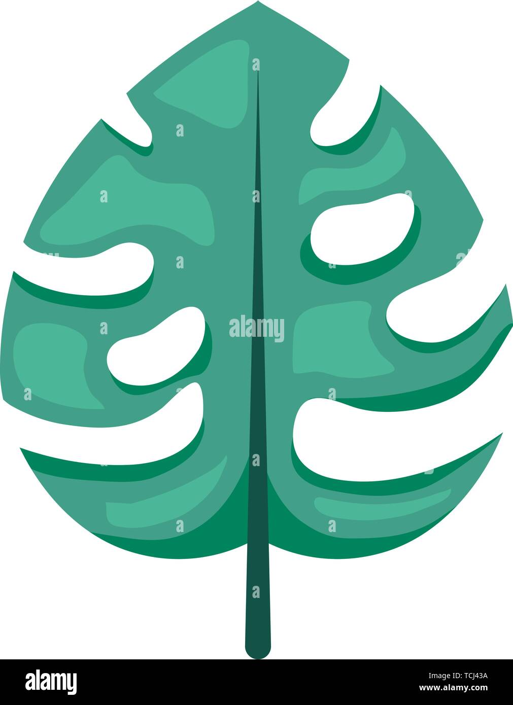 Foglia verde monstera pianta Illustrazione Vettoriale