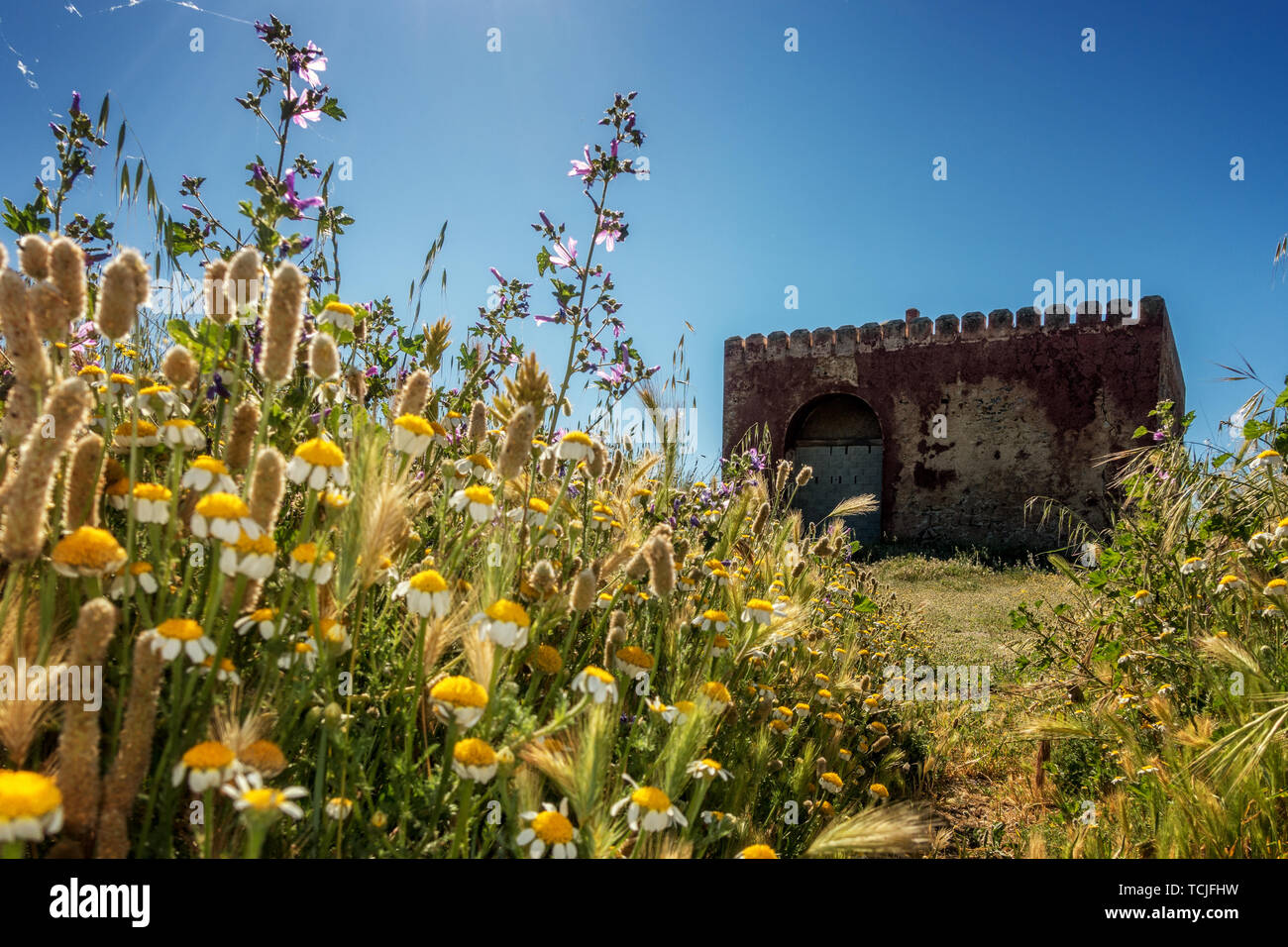 Il vecchio forte con splendidi fiori selvatici primaverili sulla GR-4302 strada tra Guájar-Faragüit e Pinos del Valle, Sierra Nevada, Spagna Foto Stock