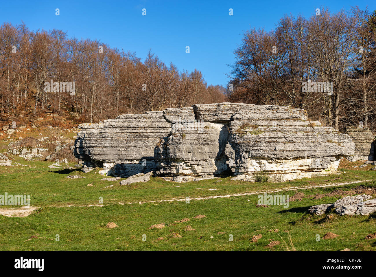 I monoliti di pietra calcarea. Insolito erosione carsica formazioni nel Parco Naturale Regionale della Lessinia (Valle delle Sfingi), Veneto, Verona, Italia, Europa Foto Stock