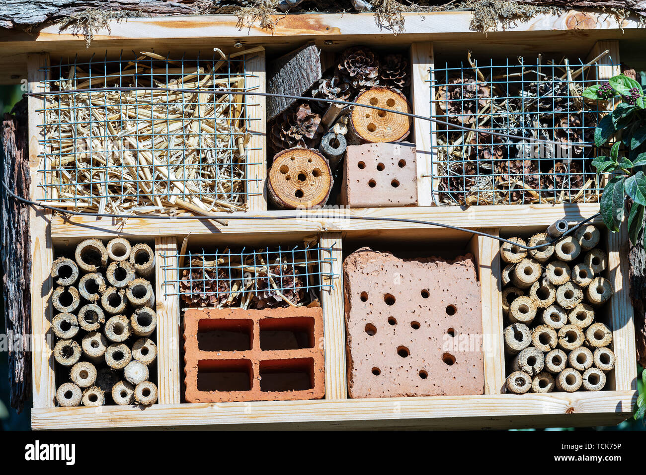 Casa di insetto per la tutela della biodiversità. Piccolo Rifugio o nido fatto da naturale e artificiale dei materiali adatti per la nidificazione. Il Trentino Foto Stock