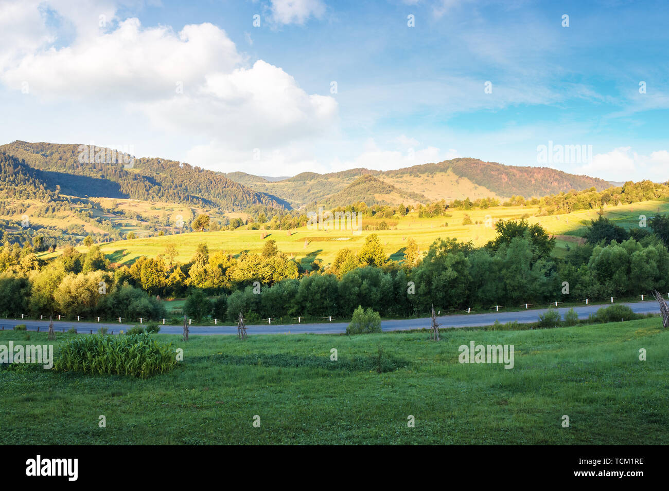 Campagna dei Carpazi al mattino. campo vicino alla strada in ombra. montagne e colline rurale nella luce del sole luminoso cielo azzurro con nuvole. calmo mattino Foto Stock