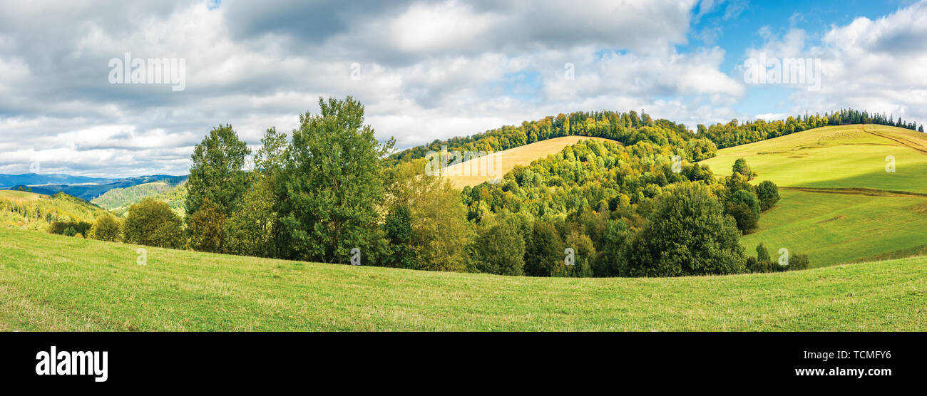 Foresta sul bordo di un prato in montagna. Il bellissimo panorama delle montagne dei Carpazi a inizio autunno. luminose meteo con le nubi del cielo Foto Stock