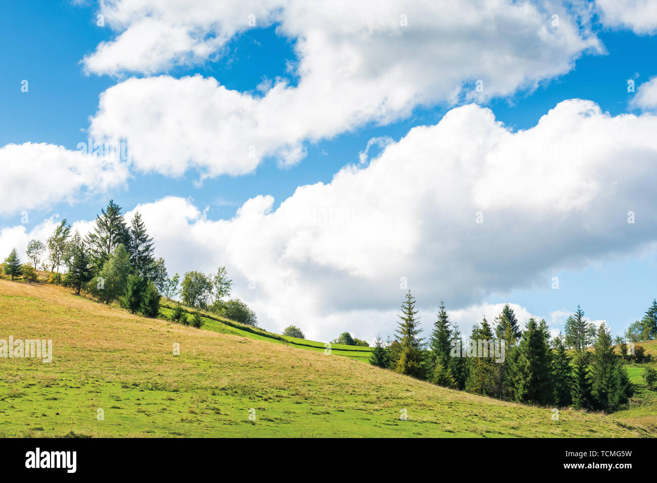 Paesaggio di campagna con bosco su dolci colline. bellissimo scenario in inizio autunno. luminose meteo con le nubi del cielo Foto Stock