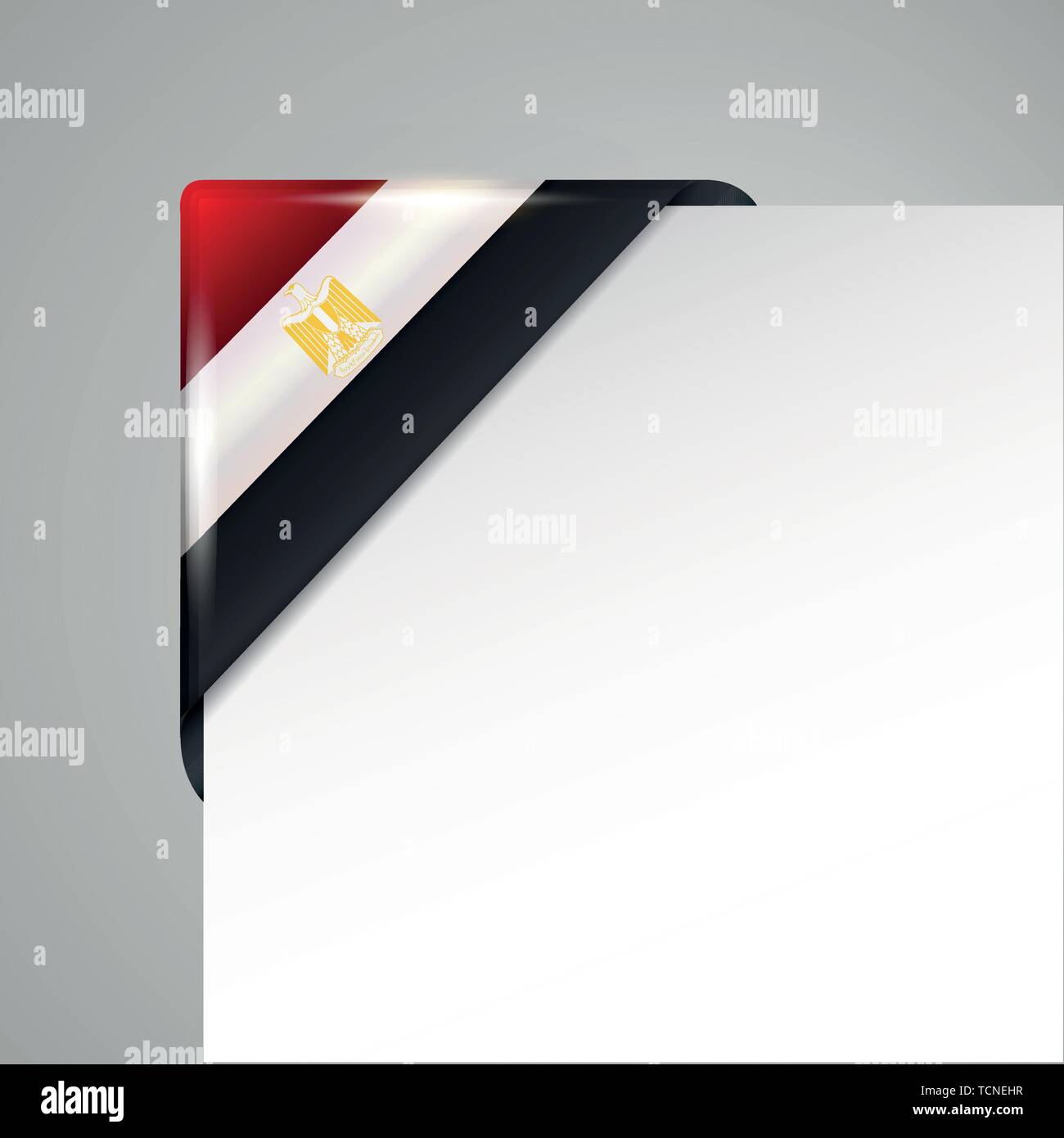 Egitto metallico bandiera angolo isolato illustrazione vettoriale Illustrazione Vettoriale