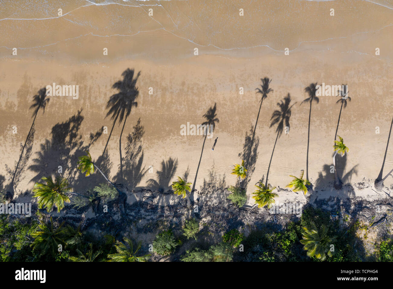 Antenna vista superiore di spiaggia con sabbia bianca, splendide palme e turchesi acque tropicali in Tropical Paradise Island, tropici Foto Stock