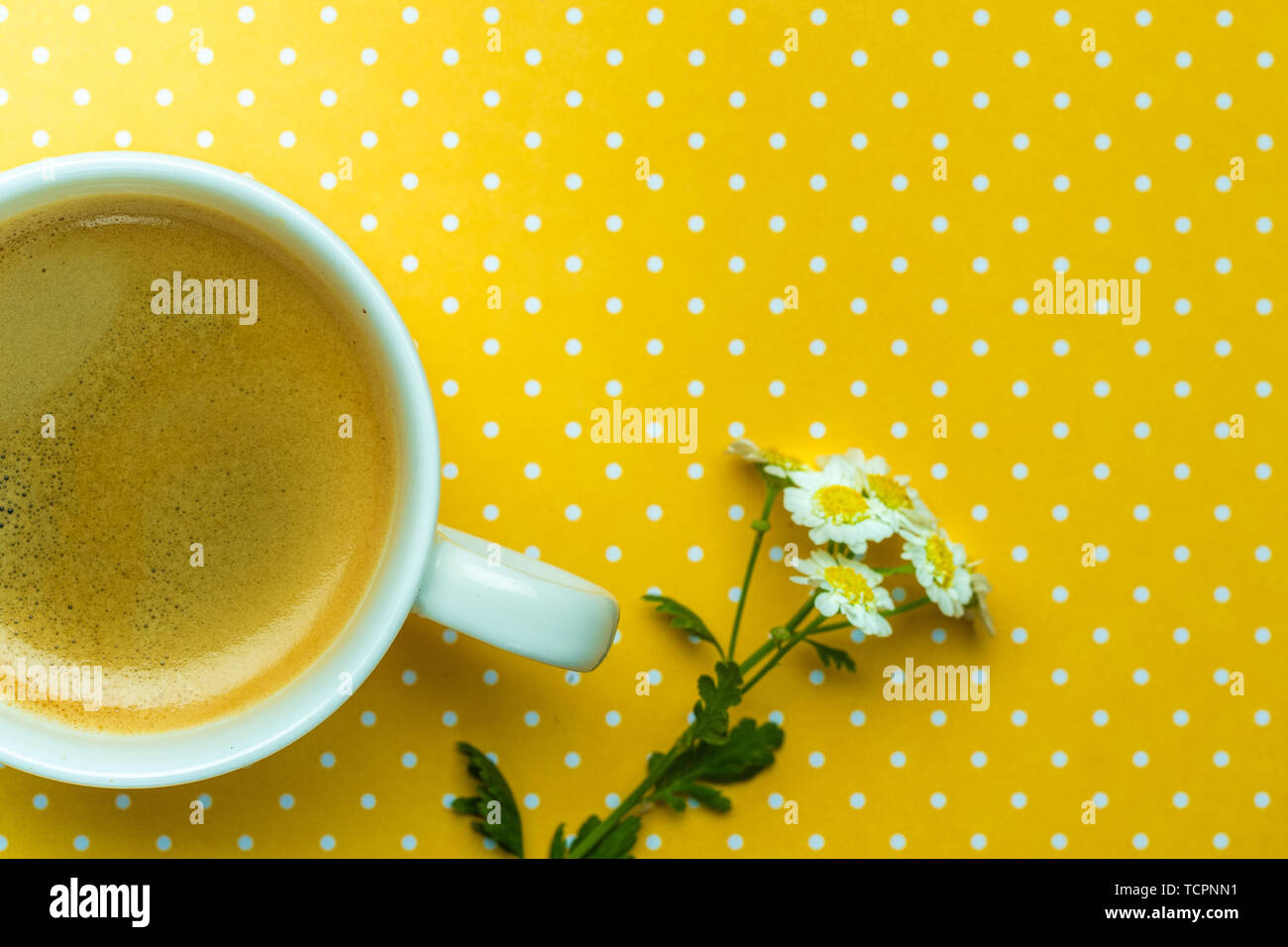 Tazza di caffè su uno sfondo giallo brillante con fiori e un notebook Foto Stock