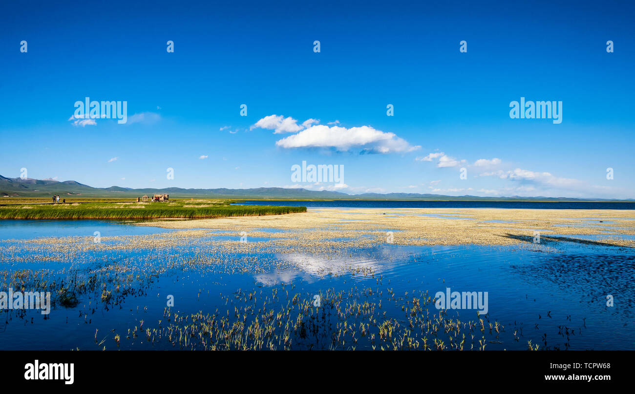 Il 9 giugno 2013, il Dragon Boat Festival di auto-guida del Jorge Grand linea ad anello, fotografato in Jorge Prairie Flower Lake Scenic Area. Il fiore lago punto panoramico sotto il cielo blu e nuvole bianche è pulita e ampia e rinfrescante. Foto Stock