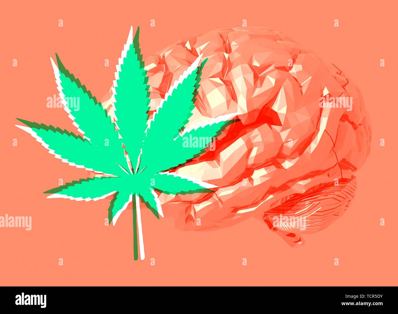 Cervello umano e la cannabis, illustrazione Foto Stock